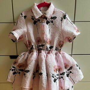 Caroline Bosman Size 6 Roses Dress